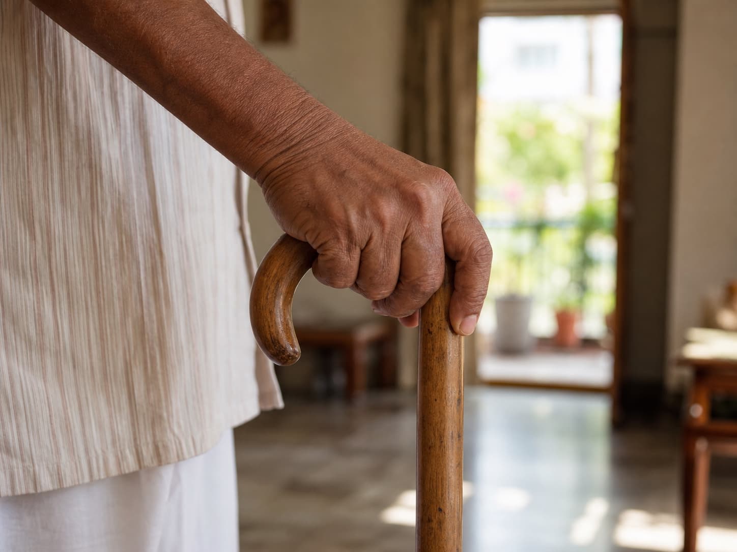 Walking Stick